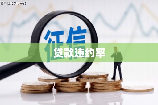 合山贷款违约率