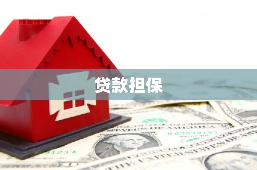 合山贷款担保