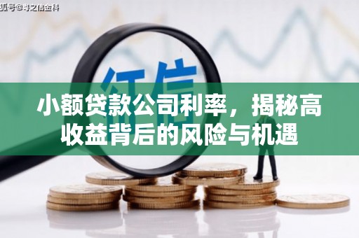合山小额贷款公司利率，揭秘高收益背后的风险与机遇