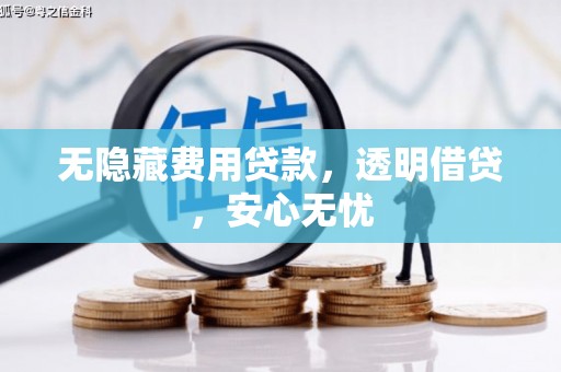 合山无隐藏费用贷款，透明借贷，安心无忧
