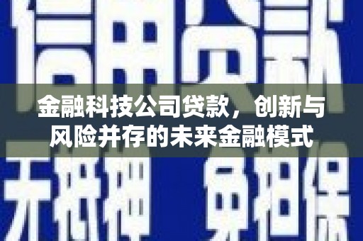 合山金融科技公司贷款，创新与风险并存的未来金融模式