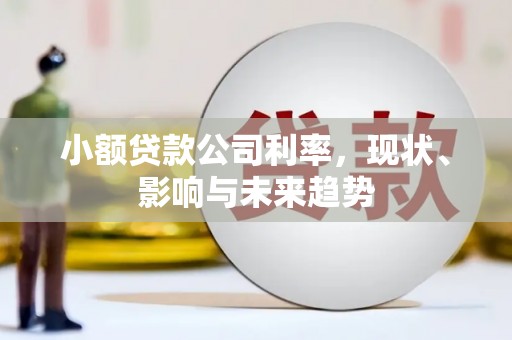 合山小额贷款公司利率，现状、影响与未来趋势