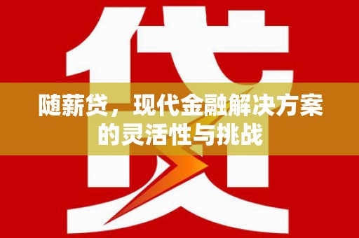 合山随薪贷，现代金融解决方案的灵活性与挑战