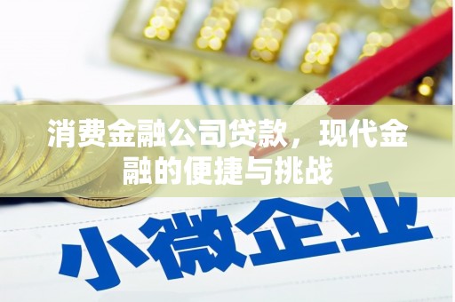 合山消费金融公司贷款，现代金融的便捷与挑战