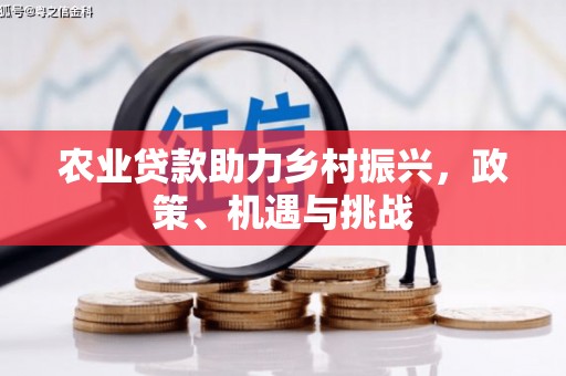合山农业贷款助力乡村振兴，政策、机遇与挑战