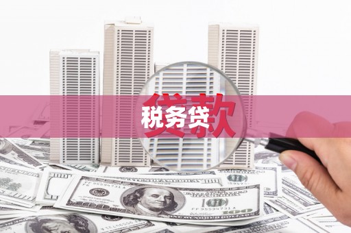 合山税务贷