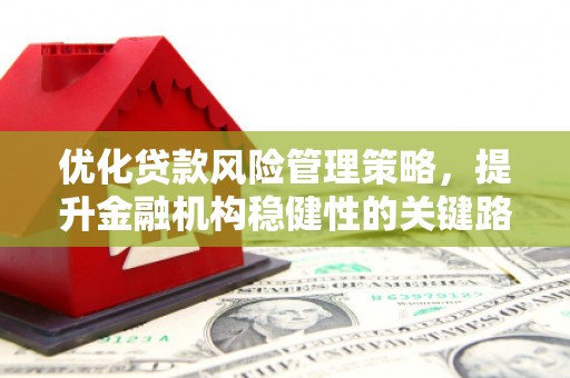 合山优化贷款风险管理策略，提升金融机构稳健性的关键路径