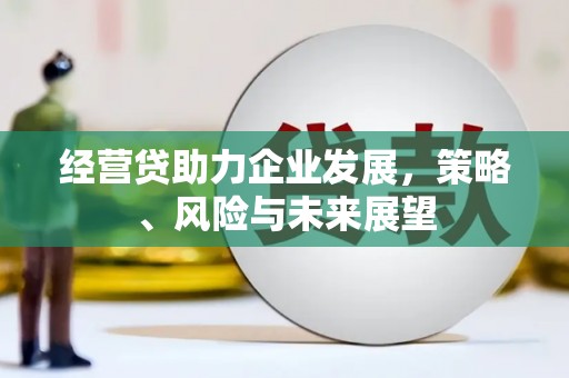 合山经营贷助力企业发展，策略、风险与未来展望