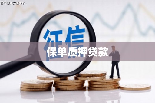 合山保单质押贷款