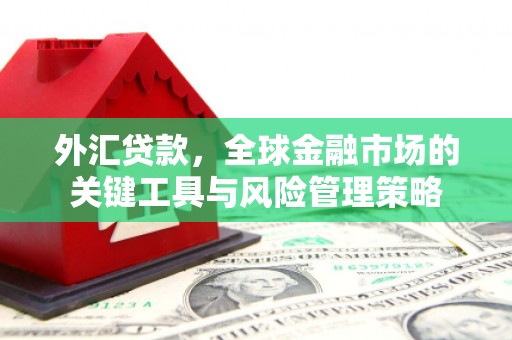 合山外汇贷款，全球金融市场的关键工具与风险管理策略