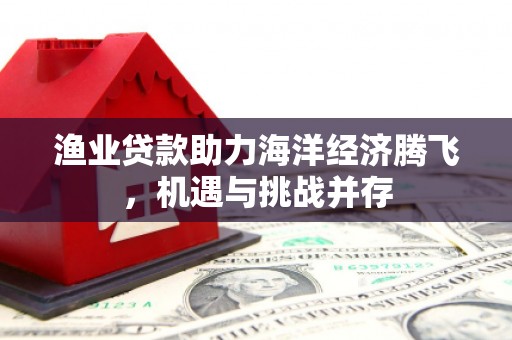 合山渔业贷款助力海洋经济腾飞，机遇与挑战并存