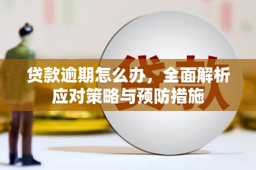 合山贷款逾期怎么办，全面解析应对策略与预防措施