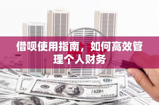 合山借呗使用指南，如何高效管理个人财务