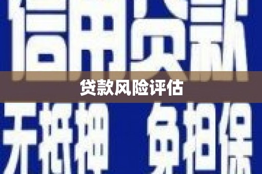 合山贷款风险评估
