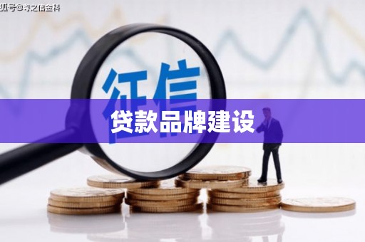 合山贷款品牌建设