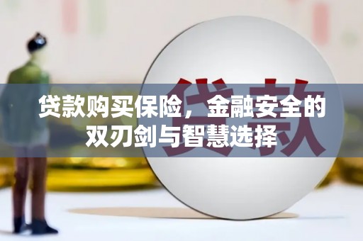合山贷款购买保险，金融安全的双刃剑与智慧选择