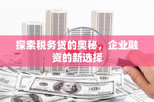 合山探索税务贷的奥秘，企业融资的新选择