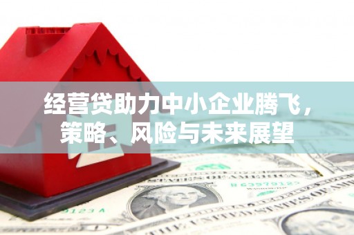 合山经营贷助力中小企业腾飞，策略、风险与未来展望