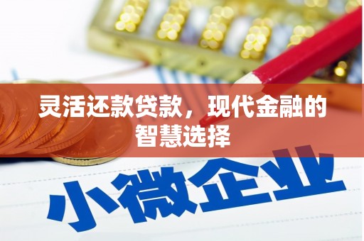 合山灵活还款贷款，现代金融的智慧选择