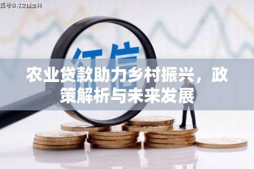 合山农业贷款助力乡村振兴，政策解析与未来发展