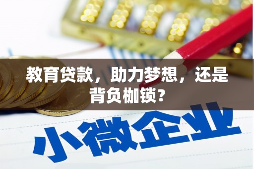 合山教育贷款，助力梦想，还是背负枷锁？