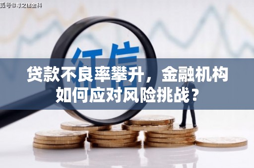 合山贷款不良率攀升，金融机构如何应对风险挑战？