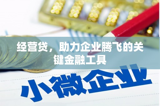 合山经营贷，助力企业腾飞的关键金融工具