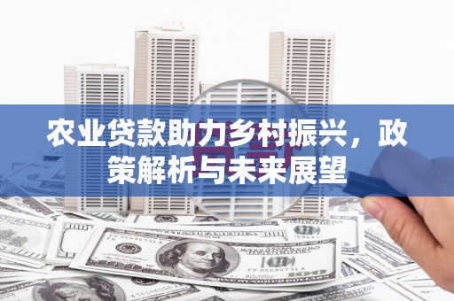 合山农业贷款助力乡村振兴，政策解析与未来展望