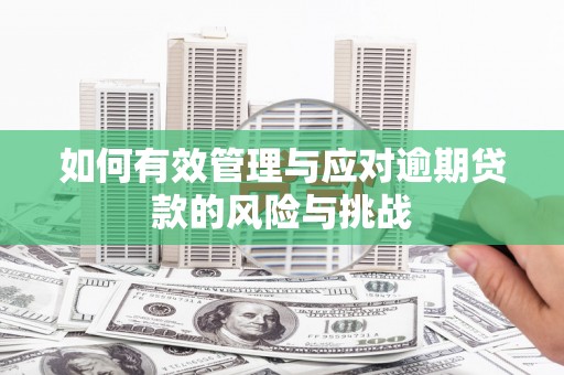 合山如何有效管理与应对逾期贷款的风险与挑战