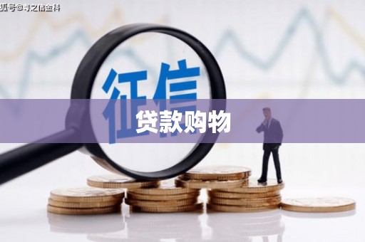 合山贷款购物
