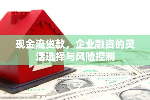 合山现金流贷款，企业融资的灵活选择与风险控制