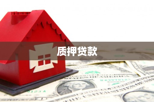 合山质押贷款