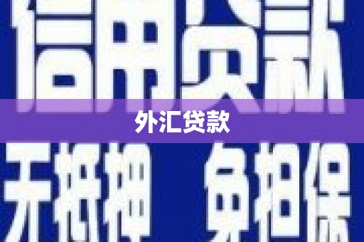 合山外汇贷款