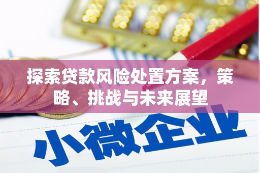 合山探索贷款风险处置方案，策略、挑战与未来展望