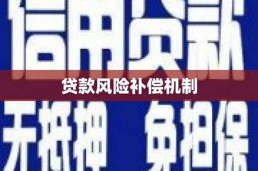 合山贷款风险补偿机制