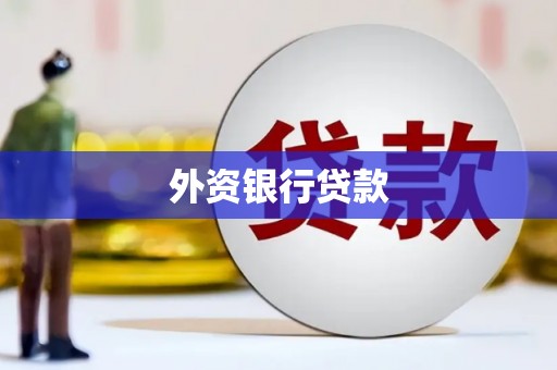 合山外资银行贷款