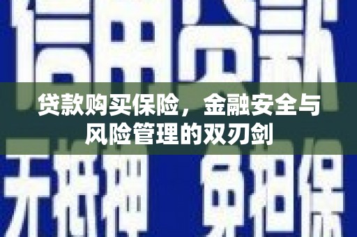 合山贷款购买保险，金融安全与风险管理的双刃剑