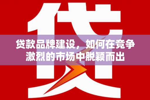 合山贷款品牌建设，如何在竞争激烈的市场中脱颖而出