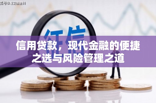 合山信用贷款，现代金融的便捷之选与风险管理之道