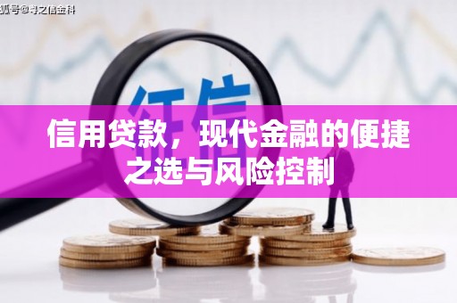 合山信用贷款，现代金融的便捷之选与风险控制