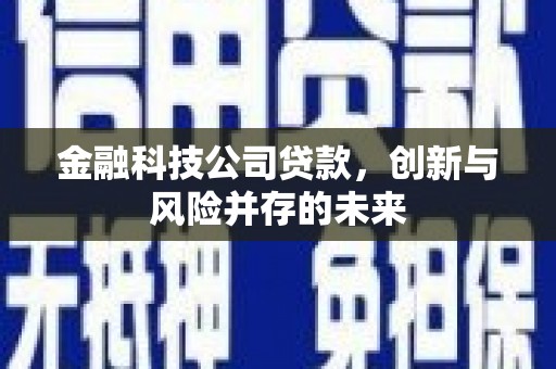 合山金融科技公司贷款，创新与风险并存的未来