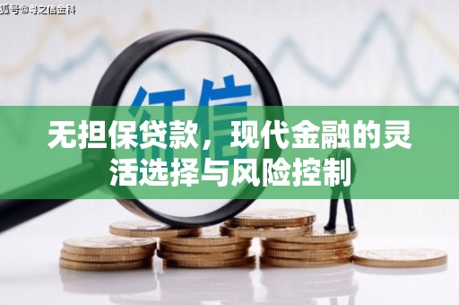 合山无担保贷款，现代金融的灵活选择与风险控制