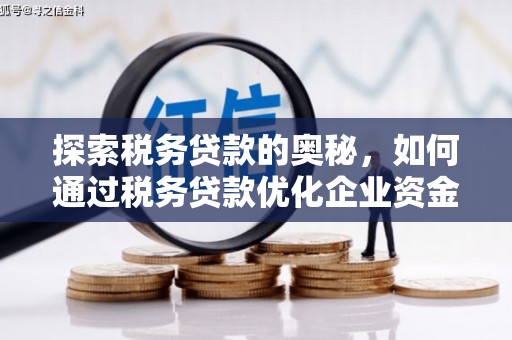 合山探索税务贷款的奥秘，如何通过税务贷款优化企业资金流