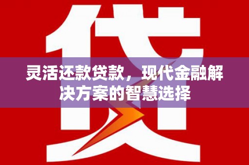 合山灵活还款贷款，现代金融解决方案的智慧选择