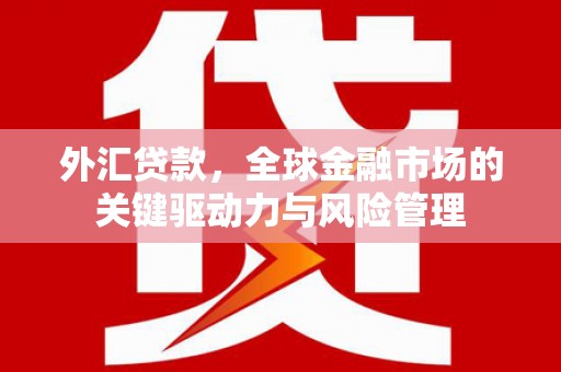 合山外汇贷款，全球金融市场的关键驱动力与风险管理