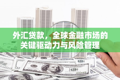合山外汇贷款，全球金融市场的关键驱动力与风险管理