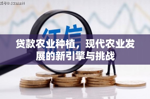 合山贷款农业种植，现代农业发展的新引擎与挑战