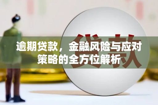 合山逾期贷款，金融风险与应对策略的全方位解析