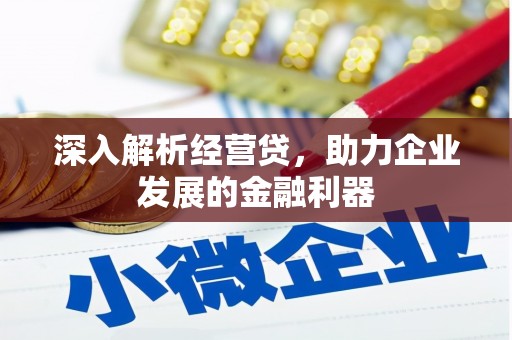 合山深入解析经营贷，助力企业发展的金融利器