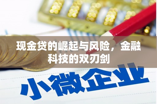 合山现金贷的崛起与风险，金融科技的双刃剑